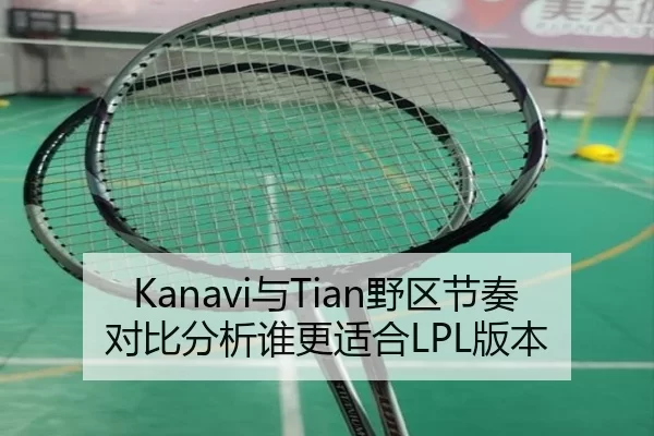 Kanavi与Tian野区节奏对比分析谁更适合LPL版本